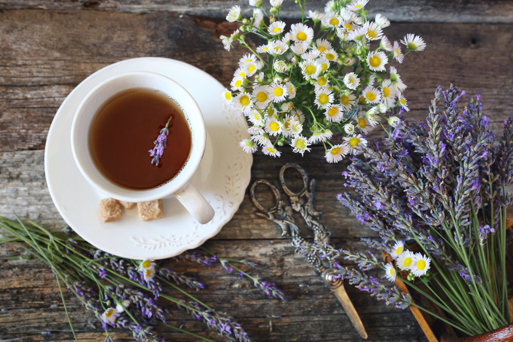 Purple Tea Extract AO Lip Restore And Purple Tea Extract Benefits | PerioSciences