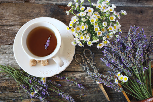 Discover the Magic of Purple Tea Extract in AO Lip Restore